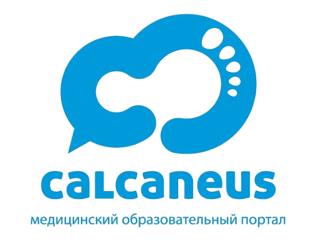 Calcaneus